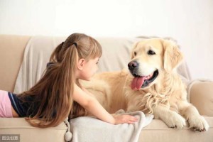 兽医警告：孩子和狗狗相处时，千万不要做这7件事