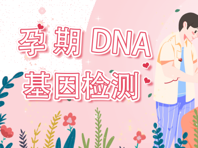 个人亲子鉴定收费多少