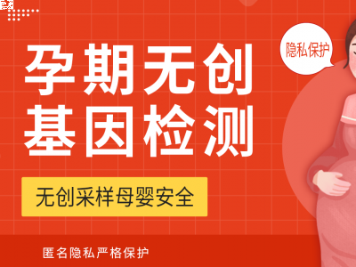 亲子鉴定费用是怎样收费的